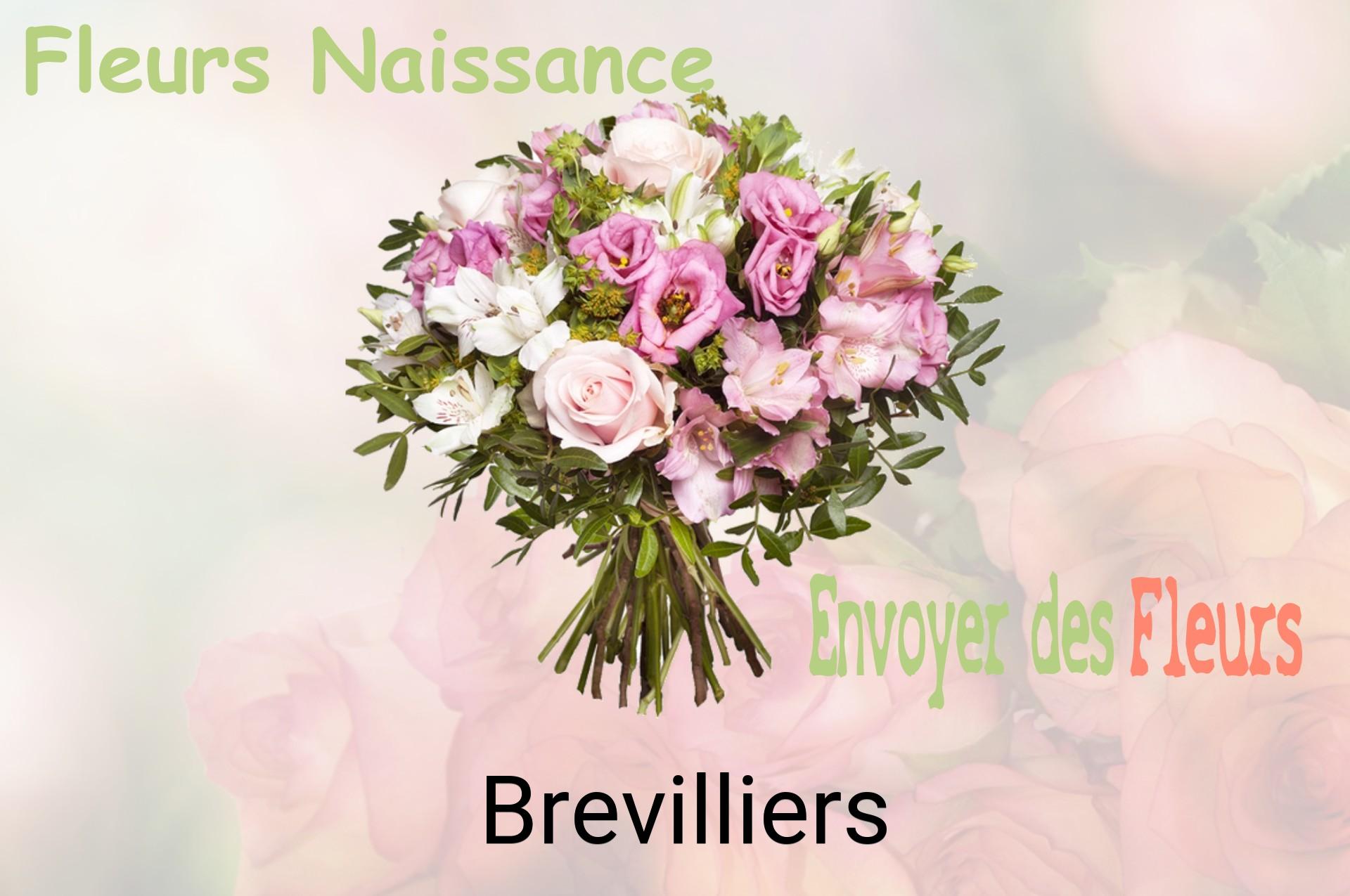 Bouquet de fleurs de naissance livré à Brevilliers